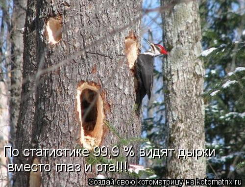 Котоматрица: По статистике 99,9 % видят дырки вместо глаз и рта!!!