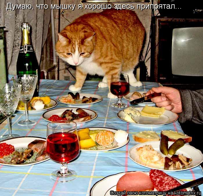 Котоматрица: Думаю, что мышку я хорошо здесь припрятал...