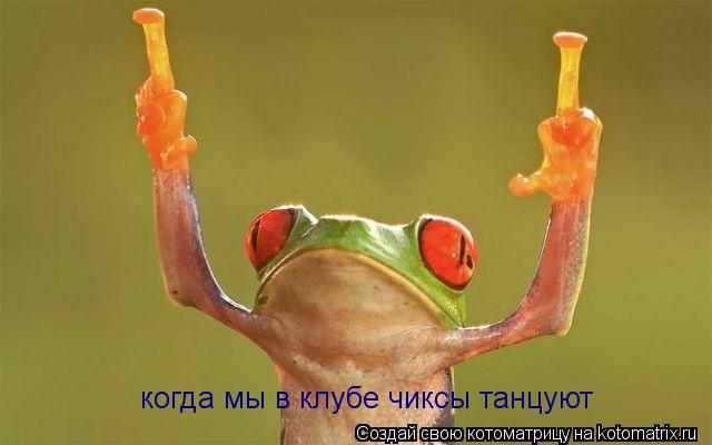 Котоматрица: когда мы в клубе чиксы танцуют