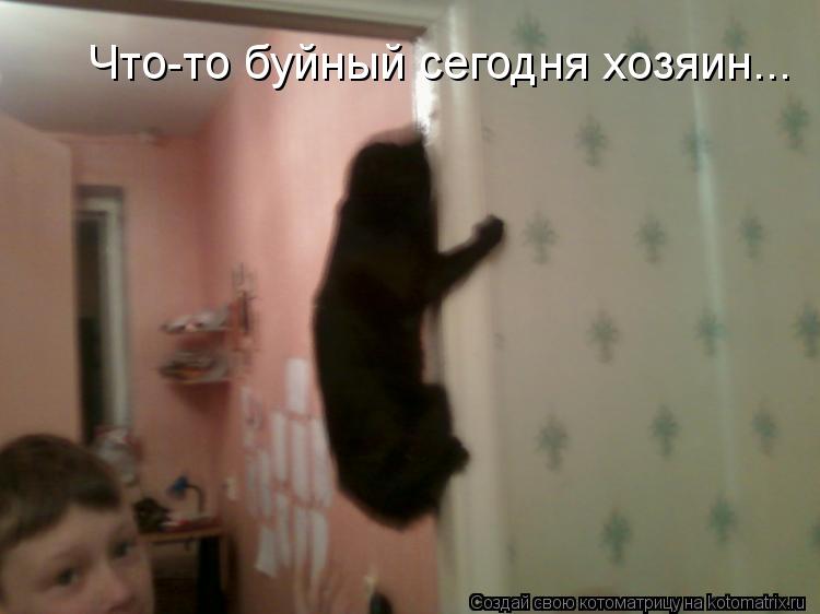 Котоматрица: Что-то буйный сегодня хозяин...