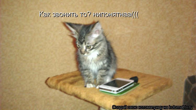 Котоматрица: Как звонить то? нипонятнаа(((
