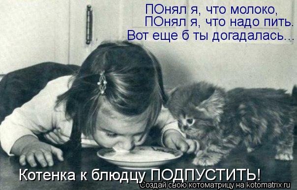 Вот еще б ты догадалась... Котенка к блюдцу ПОДПУСТИТЬ! ПОнял я, что молоко, ПОнял я, что надо пить.... Котоматрица: Вот еще б ты догадалась... Котенка к блюдцу ПОДПУСТИТЬ! ПОнял я, что молоко, ПОнял я, что надо пить.