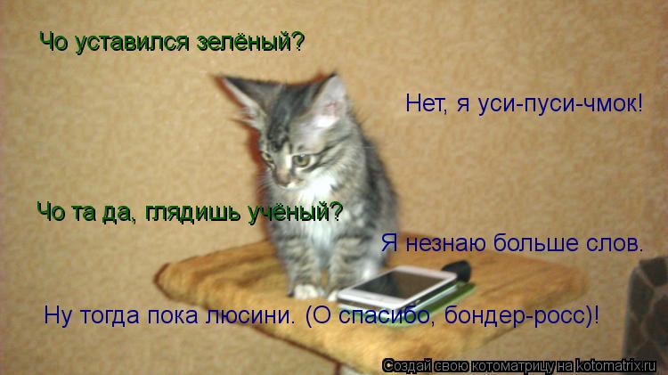 Котоматрица: Чо уставился зелёный? Нет, я уси-пуси-чмок! Чо та да, глядишь учёный? Я незнаю больше слов. Ну тогда пока люсини. (О спасибо, бондер-росс)!