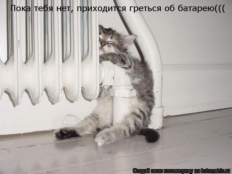 Котоматрица: Пока тебя нет, приходится греться об батарею(((