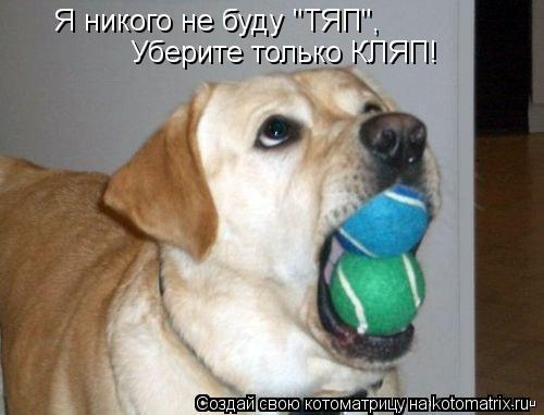 Котоматрица: Я никого не буду "ТЯП", Уберите только КЛЯП!