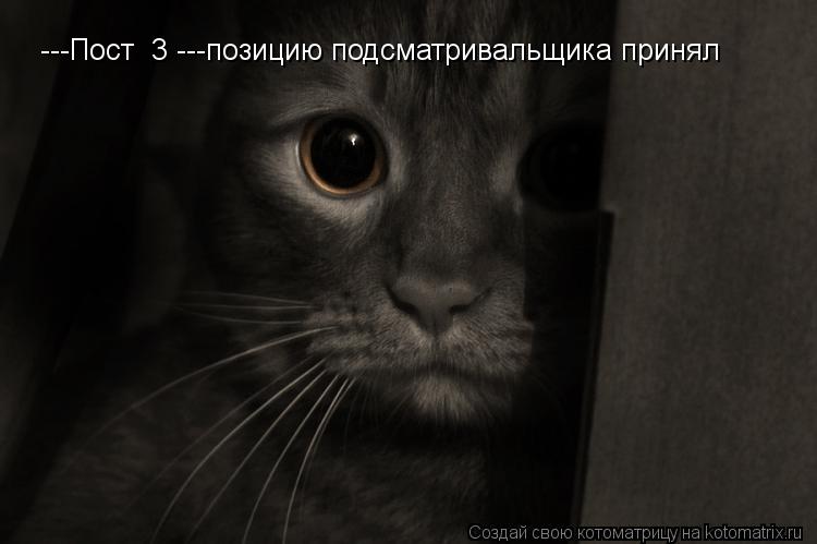 ---Пост №3 ---позицию подсматривальщика принял... Котоматрица: ---Пост №3 ---позицию подсматривальщика принял