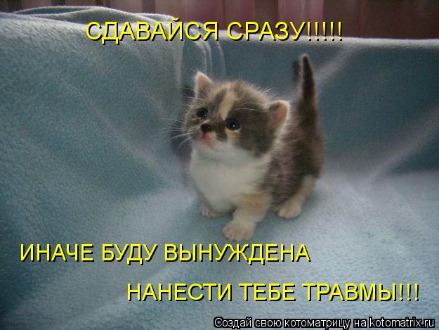 Котоматрица: СДАВАЙСЯ СРАЗУ!!!!! ИНАЧЕ БУДУ ВЫНУЖДЕНА НАНЕСТИ ТЕБЕ ТРАВМЫ!!!