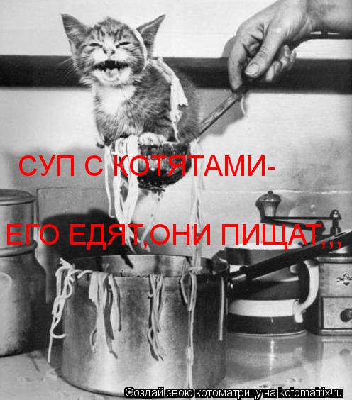 СУП С КОТЯТАМИ- ЕГО ЕДЯТ,ОНИ ПИЩАТ,,,... Котоматрица: СУП С КОТЯТАМИ- ЕГО ЕДЯТ,ОНИ ПИЩАТ,,,