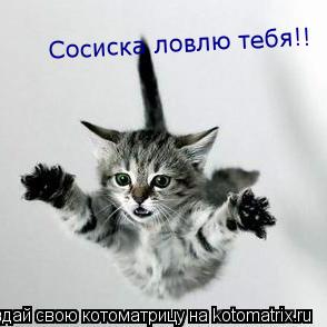 Сосиска ловлю тебя!!... Котоматрица: Сосиска ловлю тебя!!