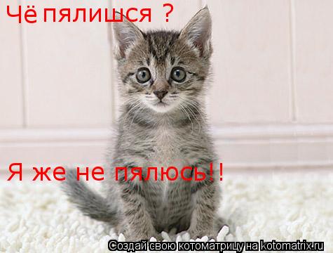 Чё пялишся ? Я же не пялюсь!!... Котоматрица: Чё пялишся ? Я же не пялюсь!!