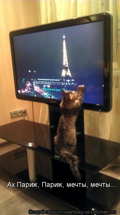 Ах Париж, Париж, мечты, мечты...... Котоматрица: Ах Париж, Париж, мечты, мечты...