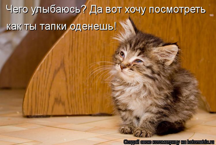 Котоматрица: Чего улыбаюсь? Да вот хочу посмотреть как ты тапки оденешь!