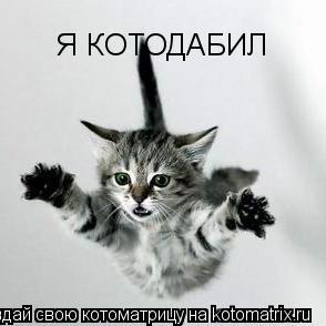 Котоматрица: Я КОТОДАБИЛ