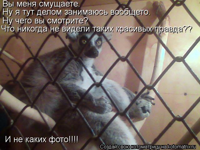 Вы меня смущаете. Ну я тут делом занимаюсь вообщето. Ну чего вы смотрите? Что никогда не видели таких... Котоматрица: Вы меня смущаете. Ну я тут делом занимаюсь вообщето. Ну чего вы смотрите? Что никогда не видели таких красивых правда?? И не каких фото!!!!