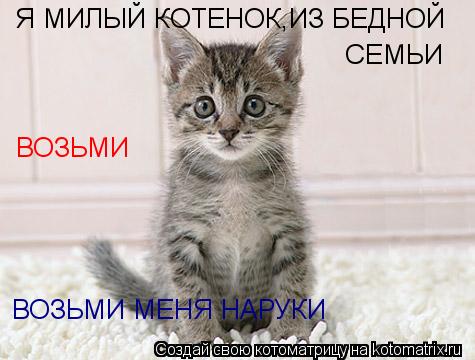 Котоматрица: Я МИЛЫЙ КОТЕНОК,ИЗ БЕДНОЙ  СЕМЬИ ВОЗЬМИ МЕНЯ НАРУКИ ВОЗЬМИ