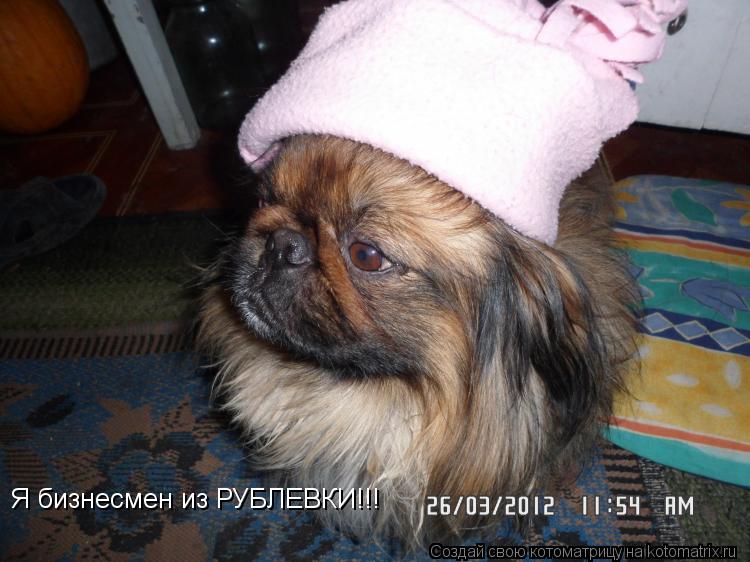 Котоматрица: Я бизнесмен из РУБЛЕВКИ!!!