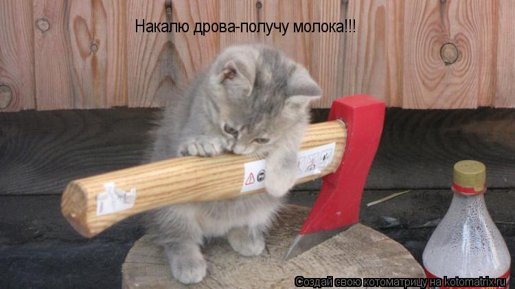 Накалю дрова-получу молока!!!... Котоматрица: Накалю дрова-получу молока!!!