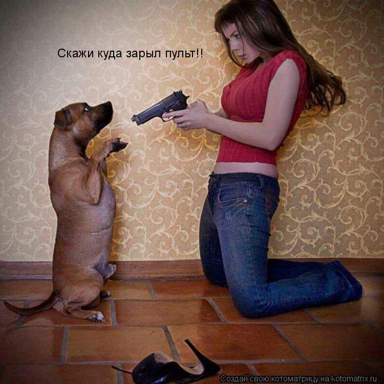 Скажи куда зарыл пульт!!... Котоматрица: Скажи куда зарыл пульт!!