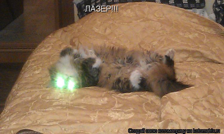 ЛАЗЕР!!!... Котоматрица: ЛАЗЕР!!!