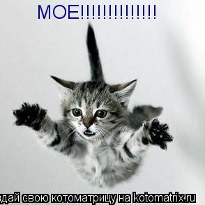 МОЕ!!!!!!!!!!!!!!... Котоматрица: МОЕ!!!!!!!!!!!!!!