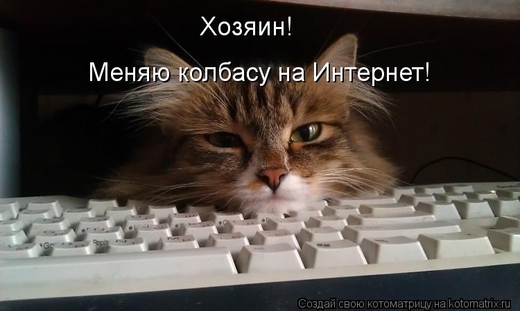 Хозяин! Меняю колбасу на Интернет!... Котоматрица: Хозяин! Меняю колбасу на Интернет!