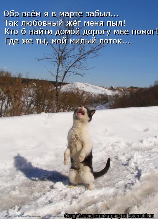 Обо всём я в марте забыл..… Так любовный жёг меня пыл! Кто б найти домой дорогу мне помог! Где же ты,... Котоматрица: Обо всём я в марте забыл..… Так любовный жёг меня пыл! Кто б найти домой дорогу мне помог! Где же ты, мой милый лоток..…