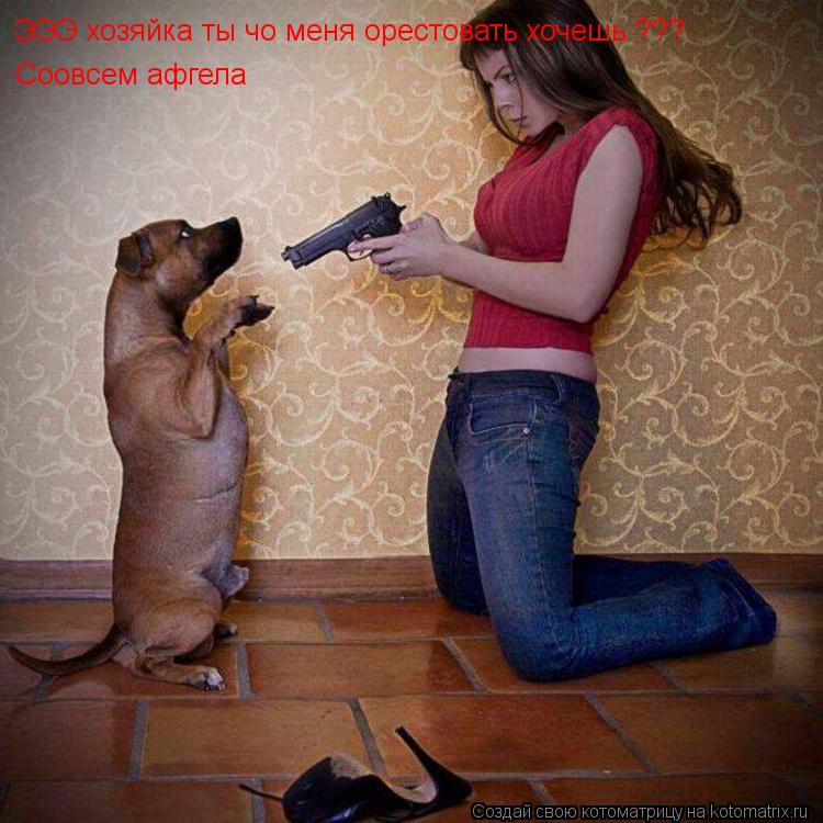 ЭЭЭ хозяйка ты чо меня орестовать хочешь ??? Соовсем афгела... Котоматрица: ЭЭЭ хозяйка ты чо меня орестовать хочешь ??? Соовсем афгела