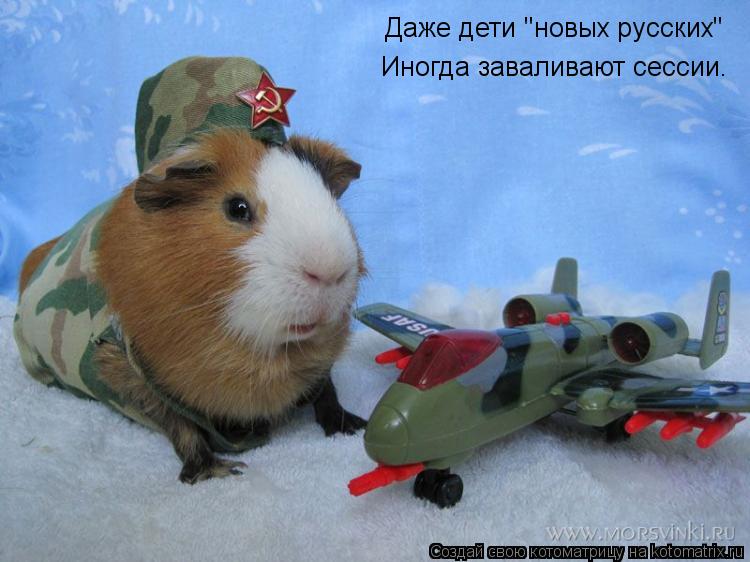 Даже дети "новых русских" Иногда заваливают сессии.... Котоматрица: Даже дети "новых русских" Иногда заваливают сессии.