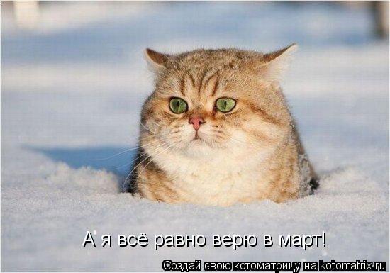 А я всё равно верю в март!... Котоматрица: А я всё равно верю в март!
