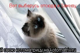 Вот выберусь отсюда и Заживу... Котоматрица: Вот выберусь отсюда и Заживу