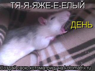 ТЯ-Я-ЯЖЕ-Е-ЕЛЫЙ ДЕНЬ... Котоматрица: ТЯ-Я-ЯЖЕ-Е-ЕЛЫЙ ДЕНЬ