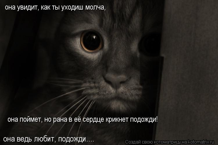 она увидит, как ты уходиш молча, она поймет, но рана в её сердце крикнет подожди! она ведь любит, по... Котоматрица: она увидит, как ты уходиш молча, она поймет, но рана в её сердце крикнет подожди! она ведь любит, подожди....