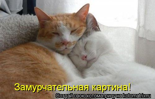 Замурчательная картина!... Котоматрица: Замурчательная картина!