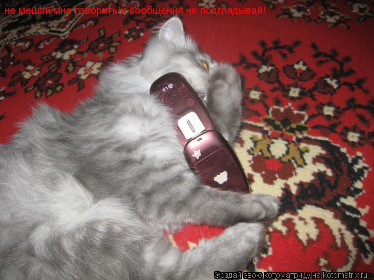 не мешай мне говорить!и сообщения не подглядывай!... Котоматрица: не мешай мне говорить!и сообщения не подглядывай!