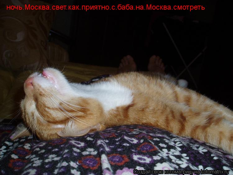 Котоматрица: ночь.Москва.свет.как.приятно.с.баба.на.Москва.смотреть