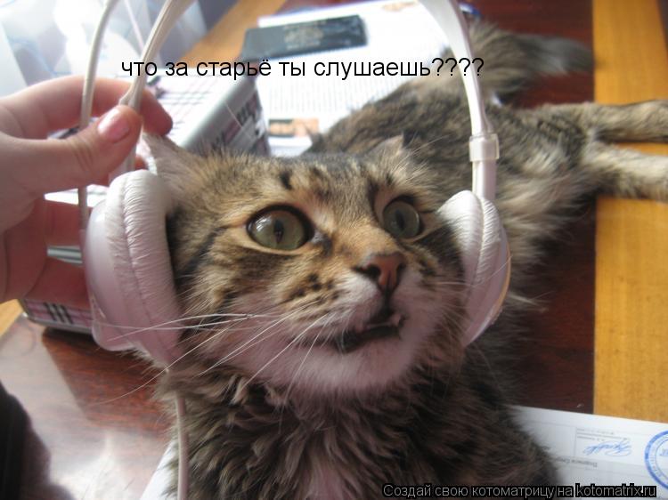что за старьё ты слушаешь????... Котоматрица: что за старьё ты слушаешь????