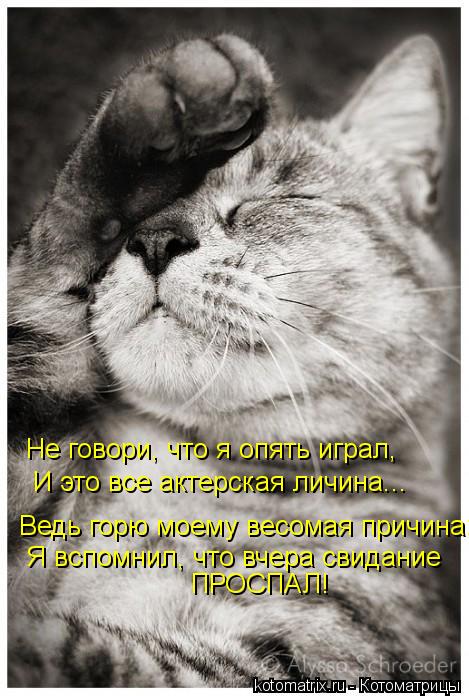 Котоматрица: Я вспомнил, что вчера свидание ПРОСПАЛ! Ведь горю моему весомая причина: Не говори, что я опять играл, И это все актерская личина...