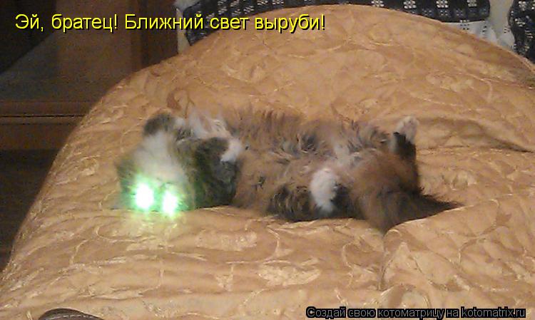 Котоматрица: Эй, братец! Ближний свет выруби!  Эй, братец! Ближний свет выруби!
