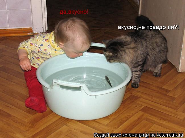 Котоматрица: вкусно,не правдо ли?! да,вкусно!