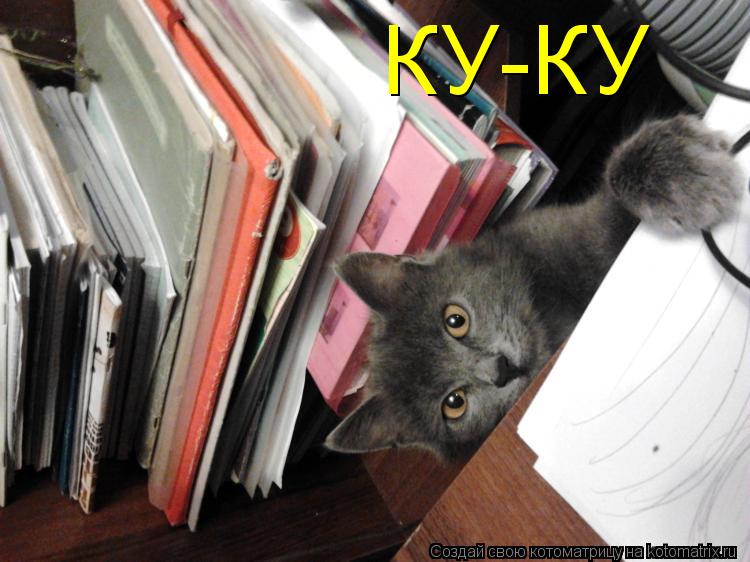 Котоматрица: КУ-КУ