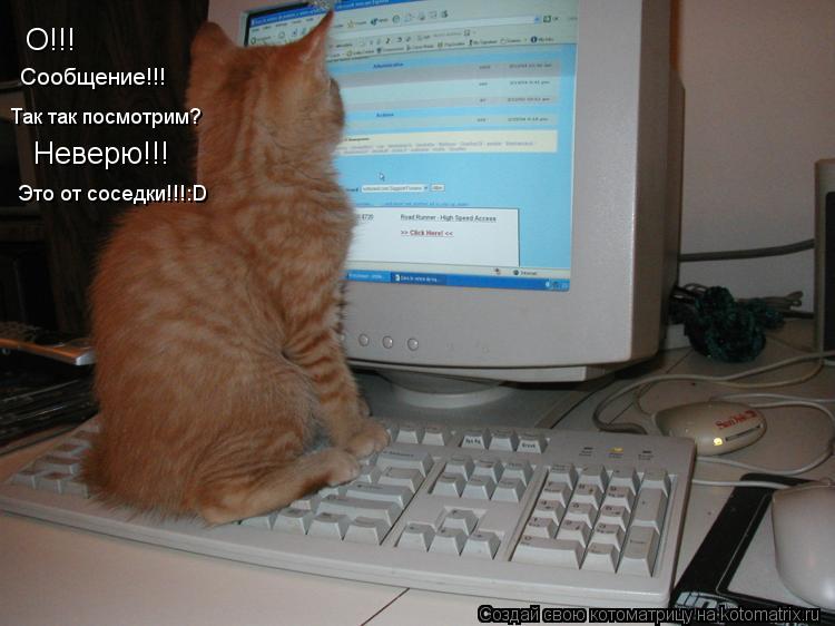 Котоматрица: О!!! Сообщение!!! Так так посмотрим? Неверю!!! Это от соседки!!!:D