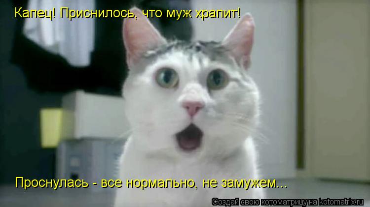 Котоматрица: Капец! Приснилось, что муж храпит! Проснулась - все нормально, не замужем...