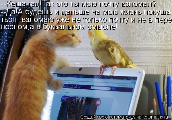 Котоматрица: --Кеша,гад!Так это ты мою почту взломал? --Да!А будешь и дальше на мою жизнь покуша- ться--взломаю уже не только почту и не в пере- носном,а в бук