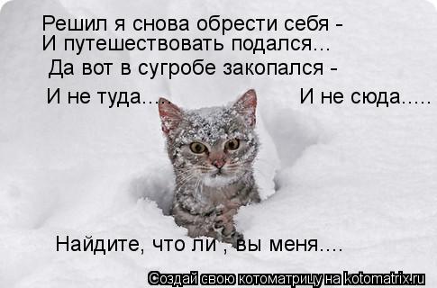 Котоматрица: Решил я снова обрести себя - И путешествовать подался... Да вот в сугробе закопался - И не туда.....                    И не сюда..... Найдите, что ли