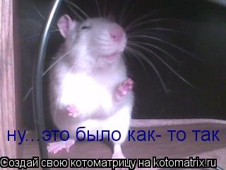 Котоматрица: ну...это было как- то так