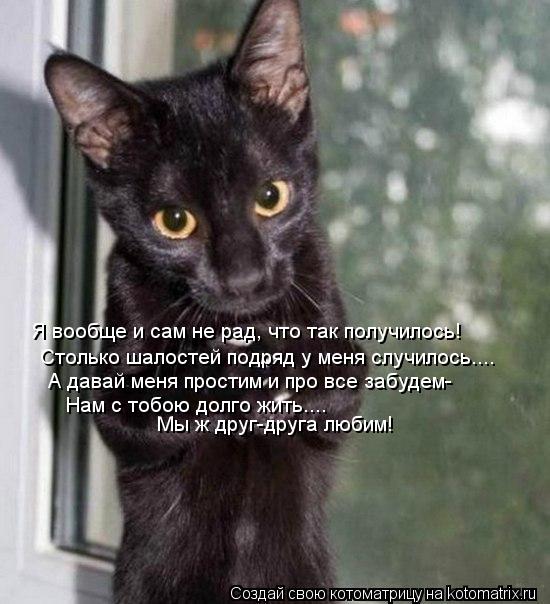 Котоматрица: Я вообще и сам не рад, что так получилось! Столько шалостей подряд у меня случилось.... А давай меня простим и про все забудем- Нам с тобою долг
