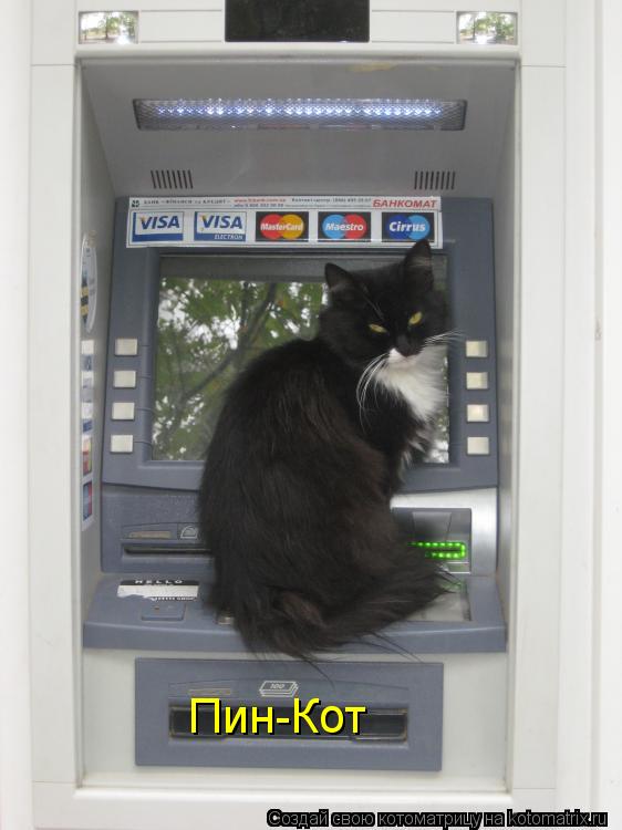 Котоматрица: Пин-Кот
