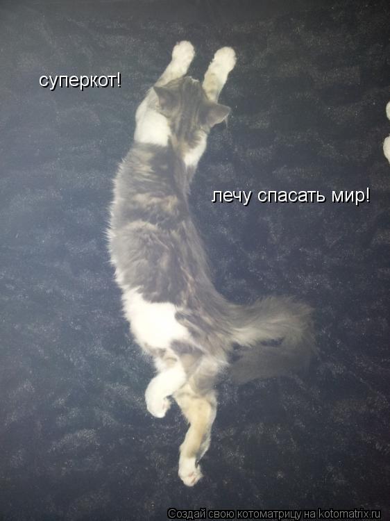 Котоматрица: суперкот!  лечу спасать мир!