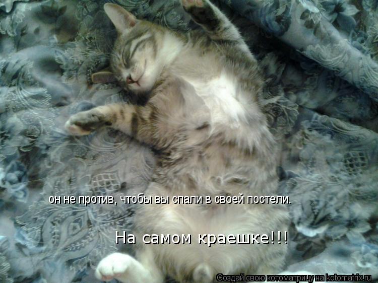 Котоматрица: он не против, чтобы вы спали в своей постели. На самом краешке!!!