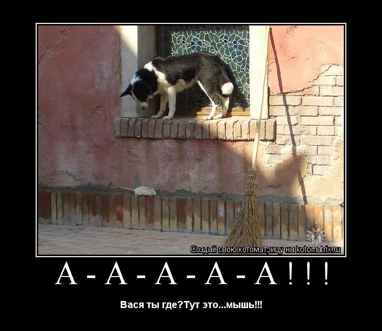 Котоматрица: А-а-а-а-а!!! Вася ты где?Тут это...мышь!!!